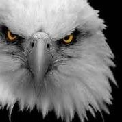 Top of Virginia Regional Chamber Employee Michael Malone's profile photo