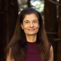 Shernaz Daver Email & Phone Number