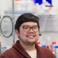 Albert Armea's profile photo