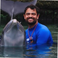DOLPHIN QUEST, LLC Employee Eduardo Evangelista's profile photo