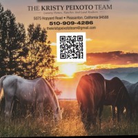 Legacy Real Estate & Associates Employee Kristy Team's profile photo