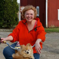 Wendy Mehan Email & Phone Number