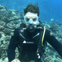 DUNE WORLD Employee Matéo Fernandes's profile photo