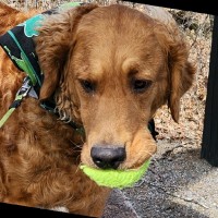 College of Saint Benedict and Saint John’s University Employee Dan Genzler's profile photo