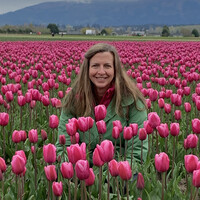 Alison Perrin Email & Phone Number
