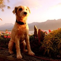 Quantlab Group Employee Changchun Shi's profile photo