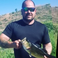 Dan Szafransky Email