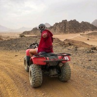 Luka Employee Alireza Bayat's profile photo