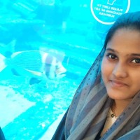 Quantum Auditing Employee Reema Ubaidullah's profile photo
