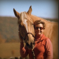 Carol Berman Email & Phone Number