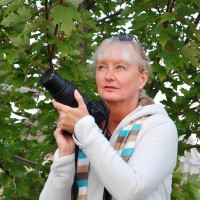 AutoMédia Employee Elizabeth Caron's profile photo