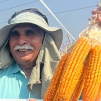Dayal Group Employee Bijendra Pal's profile photo