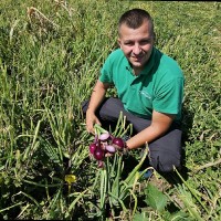 Marcoser Employee Bogdan Simion's profile photo