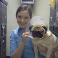 Eastern Shore Animal Hospital Employee Diane Givler's profile photo
