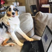 Tire Rack Employee Todd Rhodes's profile photo