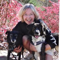 Pawsible Marketing, Inc. Employee Leslie May's profile photo