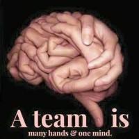 nVipani Technology Solutions Employee Yasmin Shaikh's profile photo