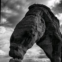 Native Studio Employee Thebe Letsopha's profile photo