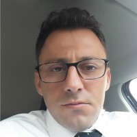 Petrica Vitel Email