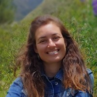 Planetherapy Employee Tal Nir's profile photo