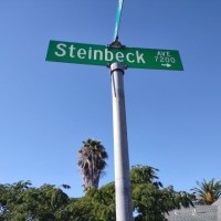Tim Steinbeck Email