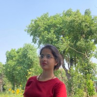 RChilli Inc. Employee Nidhi Koundal's profile photo