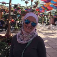 Noha Ammoury Email