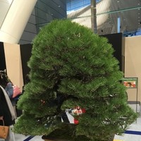 Delta Electronics Employee 韓 岩松's profile photo