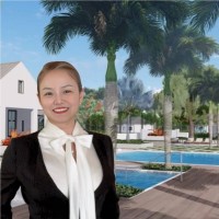 Alyssa Wang Email & Phone Number