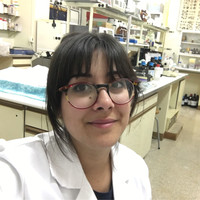 Adriana Molina Email
