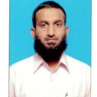 Nsemi Design Services Employee Syed Pasha's profile photo