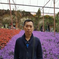 Amazon Employee Neng C.'s profile photo