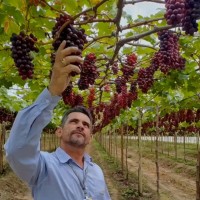 Agropodas® Employee Osman Tavares's profile photo