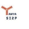 STUDI International Employee Yahya Youssef's profile photo