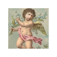 John Croyle Email & Phone Number