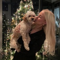 Lucy C. Email & Phone Number