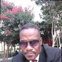 David Johnson Email & Phone Number