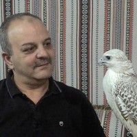 Wellness Marketing Agency Employee Mohamad Fashafshy's profile photo