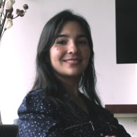 IT-TALENT Headhunter SENIOR IT Employee Carolina Feliú Abarca's profile photo