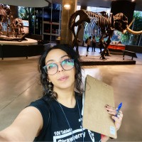 Farah مصباح Email & Phone Number