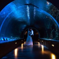 Dyno Nobel Employee Nathaniel Young's profile photo