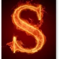 Intellipaat Employee Shilpi Jain's profile photo