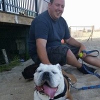 PENTANOVA Automatizari SRL Employee William Kelly's profile photo