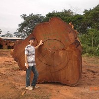 S.I.M. Inc. Employee Andrea Berzuini's profile photo