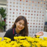 Datalytis Intelligent Data Solutions Employee Cam Nguyen's profile photo