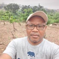 OzNet Systems Employee Anthony Ozogu's profile photo