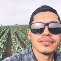 Daniel Gerardo Email & Phone Number