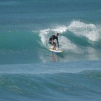 England Rugby Employee Nigel Rayner's profile photo