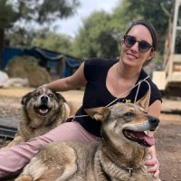 Galil Group Employee Yael Benisty's profile photo