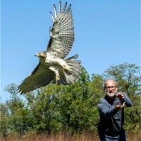 University of Iowa College of Education Employee David Conrads's profile photo